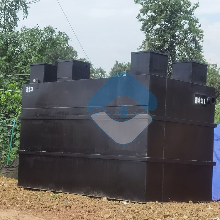 双流太平镇乡村污水项目