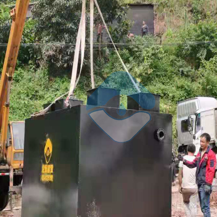 乡镇生活污水改造项目