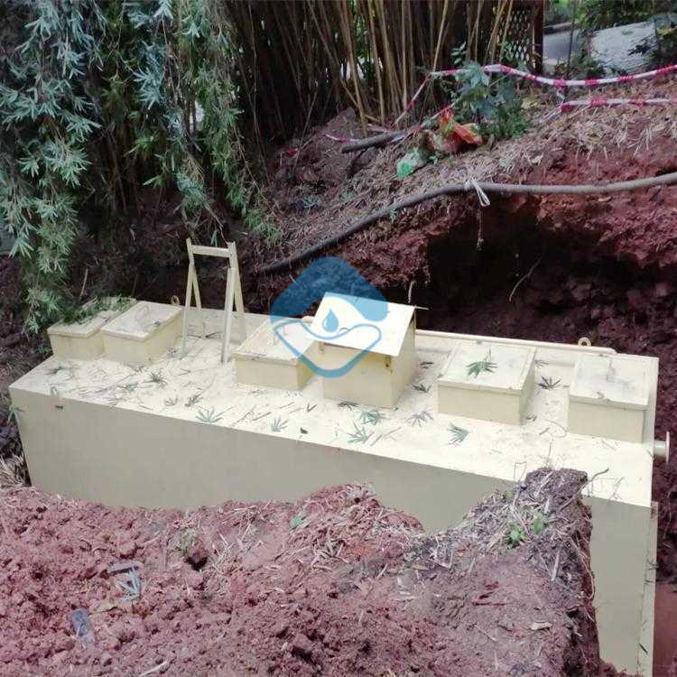 大邑县300吨污水处理案例